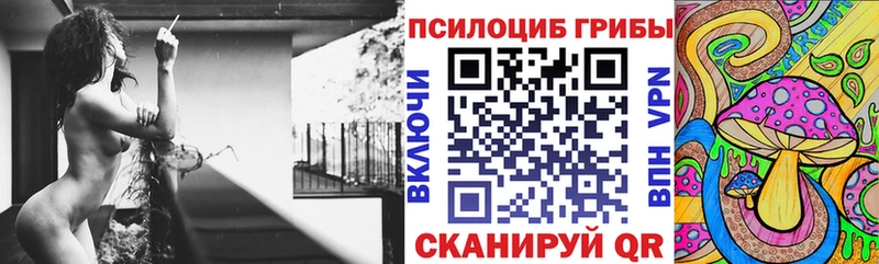 Купить где  Обоянь  Галлюциногенные грибы Magic Shrooms 